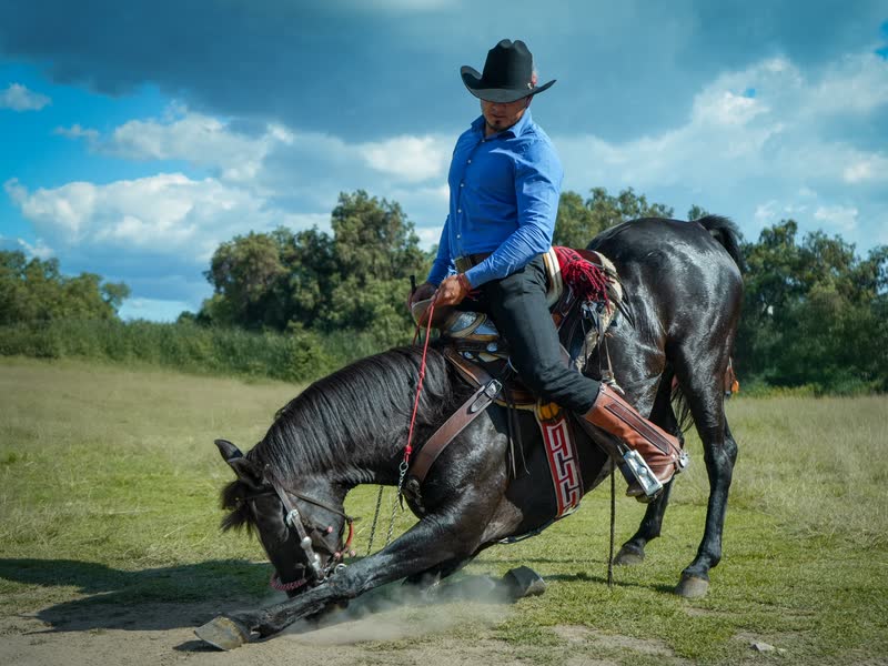 Jinete con sombrero sobre un caballo negro que se inclina en el campo