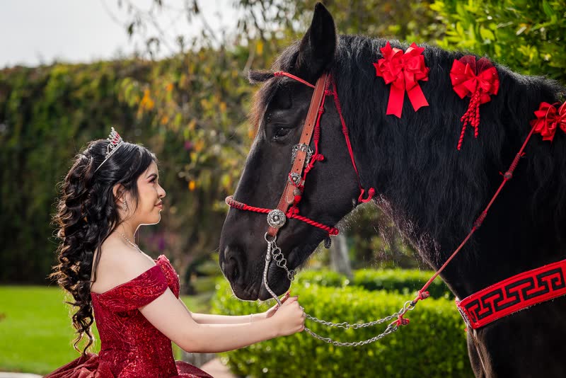 Quinceañera con vestido rojo acariciando un caballo negro con moños rojos